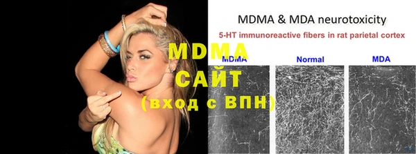 индика Абинск