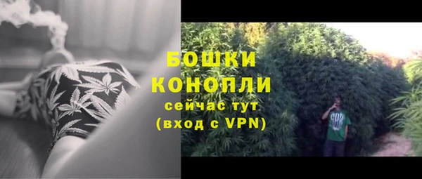 дживик Новодвинск