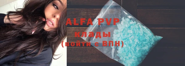 дживик Новодвинск