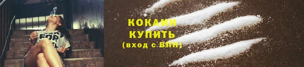 индика Абинск