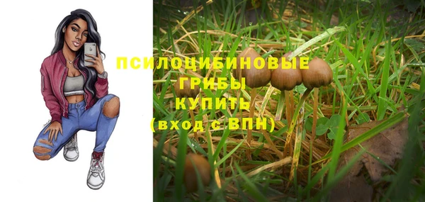 индика Абинск