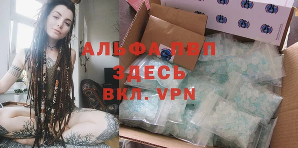 индика Абинск